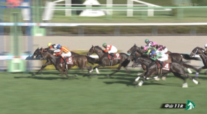 紫苑ステークス　反省会