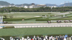 マグナヴィクトル強すぎわろた