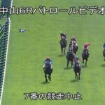 【中山6R新馬戦】キョンチャン江田照男騎手
