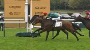 クロワデュノールやるやんけ