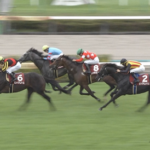 セントライト記念 反省会