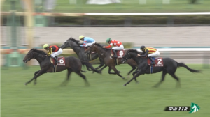 セントライト記念　反省会