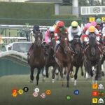 【神戸新聞杯】エリキング&川田騎手がキタ━━━━(゚∀゚)━━━━!!