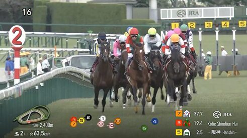 【神戸新聞杯】エリキング&川田騎手がキタ━━━━(゚∀゚)━━━━!!