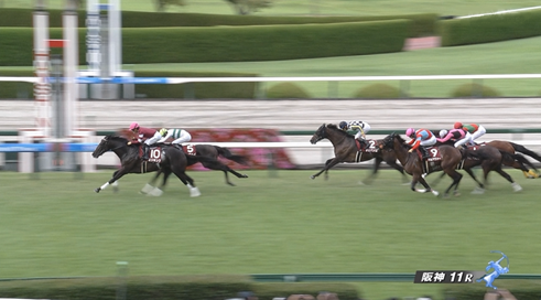 神戸新聞杯(GII)　反省会