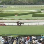 【野路菊S】アランカール＆北村友一騎手がｷﾀ━━━━(ﾟ∀ﾟ)━━━━!!