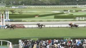 【野路菊S】アランカール＆北村友一騎手がｷﾀ━━━━(ﾟ∀ﾟ)━━━━!!