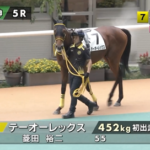 【土曜阪神5R新馬戦】注目馬のカルロット登場(´・ω・`)