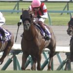 ウインカーネリアンは買えた