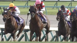 ウインカーネリアンは買えた