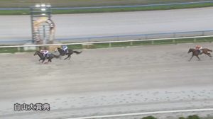 【白山大賞典】ジャスパーロブスト＆丸山騎手がｷﾀ━━━━(ﾟ∀ﾟ)━━━━!!