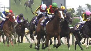 チェルヴィニアさんの次走