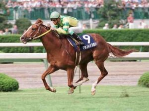 マヤノトップガンは史上最強馬候補？