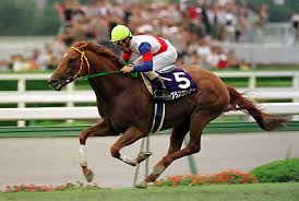 新馬戦でこれは強いと思った馬