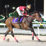 【日テレ盃】フォーエバーヤング強すぎワロタwww