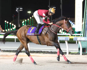 フォーエバーヤングって過去のダート強豪たちと比べてどうなん？