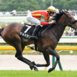 【競馬予想】[1]第30回秋華賞(GⅠ) /2025