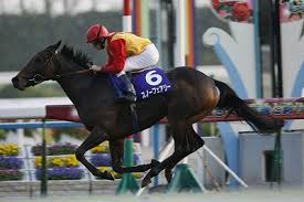 日本に遠征で来た外国馬で1番好きな馬