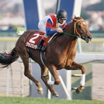 グラウワンダー系が凄すぎる件