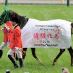 オークス馬←どの馬が浮かんだ?