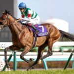 これはビックリ!急に失速した競走馬