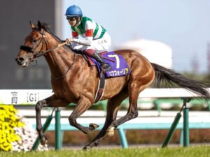 急に勝てなくなった馬