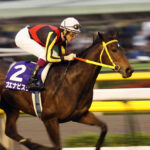 ブエナビスタて駄馬だったんだな