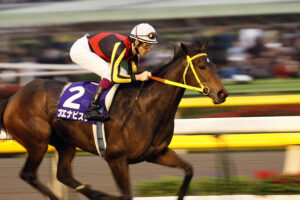 ブエナビスタて駄馬だったんだな