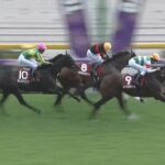 【競馬】毎日王冠は津村騎乗のレーベンスティールがV