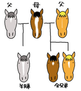 血統詳しい人教えて欲しいんだけど