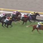 【サウジアラビアロイヤルカップ2025】結果・動画/エコロアルバが差し切り快勝