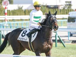 ショウヘイという名前つけるならもっと強い馬につけてほしかったよな