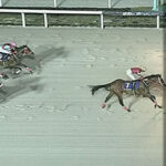 【日テレ盃】フォーエバーヤングが余裕で抜け出し2馬身半差快勝！