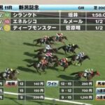 結果シランケドに負けた馬が菊花賞を勝利な件
