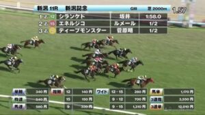 結果シランケドに負けた馬が菊花賞を勝利な件