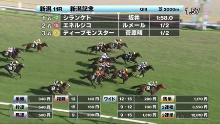 結果シランケドに負けた馬が菊花賞を勝利な件
