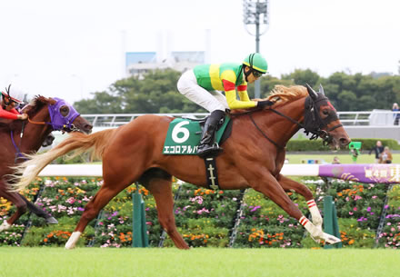 【サウジアラビアRC】2番人気エコロアルバが差し切りV!無傷2連勝で重賞初制覇