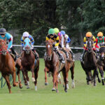 生涯で1着or着外しかなかった重賞勝ち馬