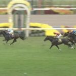 【競馬】菊花賞はルメール騎乗のエネルジコがV