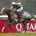 凱旋門賞に日本の強いダート馬出してみて欲しい