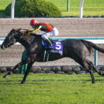 最強牝馬の1位2位は確定したから、3番手は?