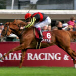 エルコンオルフェナカヤマってすごかったんだな