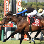 クロワデュノール＝マカヒキでした