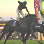 歴代秋天で一番上手かった騎乗といえば