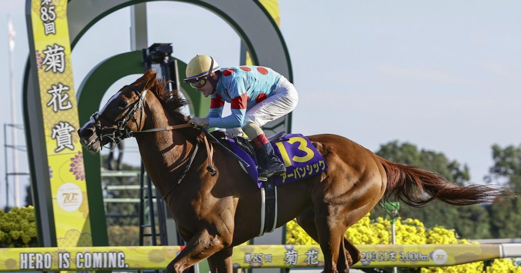 アーバンシック天皇賞秋、エネルジコ菊花賞