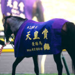 今年ほど大混戦の秋天って過去にあった?