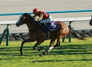 迷走の2冠牝馬チェルヴィニア 次走はマイルチャンピオンSww