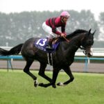 GI未勝利でGⅡ3勝以上した馬ルーベンスティール意外いない説