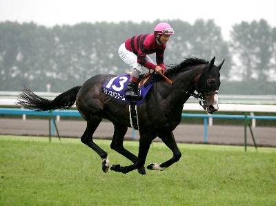 GI未勝利でGⅡ3勝以上した馬ルーベンスティール意外いない説