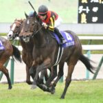 1番好きなスプリンターズSの勝ち馬